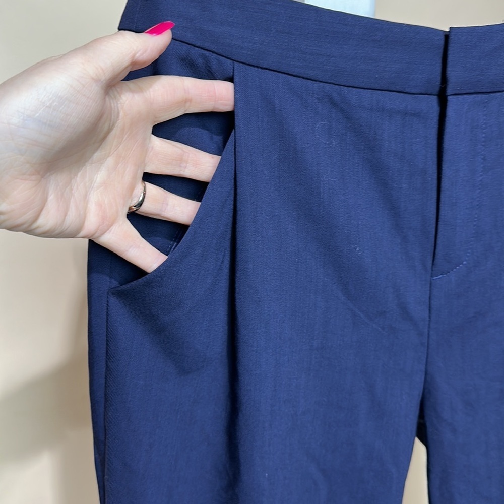 Everlane Blue Trouser Pants Size 4 Pleated waist ankle length - Picture 3 of 11
